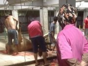 Jumlah Pemotongan Hewan di RPH Melonjak – Hari Ini Sampai 31 Ekor Sapi