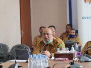 Jadi Narasumber di Webinar Garapan UGM – Ismu Sampaikan Upaya Konkret Penanggulangan COVID