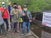 Ismu Apresiasi Tempat Budidaya Tanaman Bakau – Binaan PT Pertamina EP dan Balai TNK