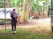 Kadistan Kutim Sebut Eksisting Pisang Kepok Capai 1.270 Hektare
