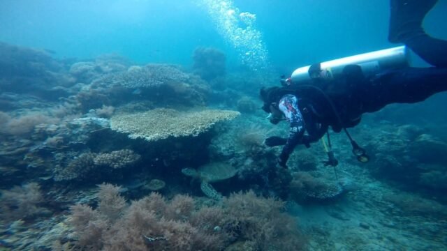 IMG-20230708-WA0021