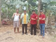 Pisang Grecek Kutim Segera Dapat Hak Paten – Sudah Didaftarkan ke DJKI KemenkumHAM