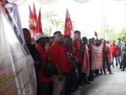 Upah Buruh Sawit Rendah, Perusahaan Tak Terapkan UMK Harus Ditindak
