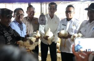 Dari Bengalon, Kutim Dorong Koperasi Ayam Potong Tembus Pasar Modern